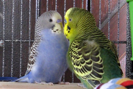 Nous sommes en pleine discussion...